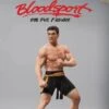 Bloodsport - Figurine Frank Dux - Infinite Statue Figure Icon -DRAGON BALL Z Magasin bloodsport figurine frank dux infinite statue figure icon