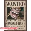 One Piece - Affiche Wanted Blackbeard Marshall.D.Teach