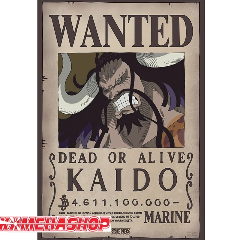 One Piece - Affiche Wanted Kaido 3 One Piece - Affiche Wanted Kaido
