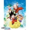 Poster Dragon Ball Groupe 1 Poster Dragon Ball Groupe -DRAGON BALL Z Magasin poster dragon ball groupe