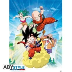 Poster Dragon Ball Groupe